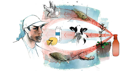 Biological versus chemical
