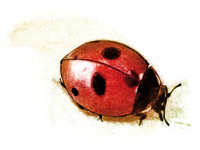 Biological versus chemical