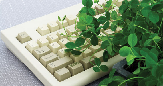 articles-howplantscommunicate_text_2