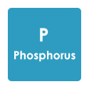 Phosphorus