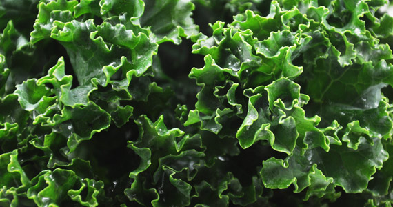 Grow it yourself: Kale