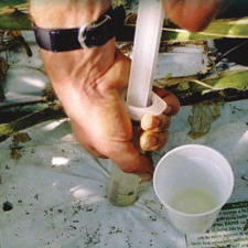 articles-phacidity_text_5