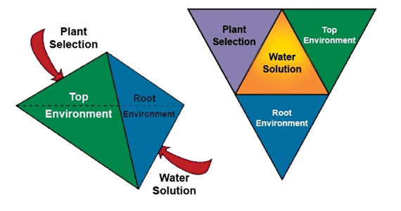 articles-plantswatering_text_1