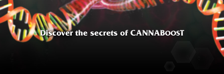 CANNABOOST a real BOOST