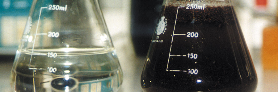 Measuring coco with extraction method