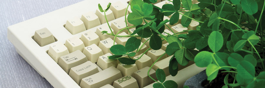 How plants communicate