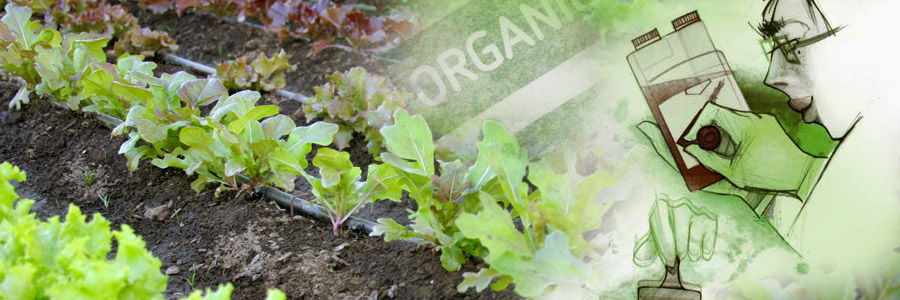 Ecologically Friendly or Organic