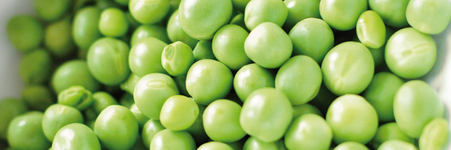 Grow it yourself: Peas
