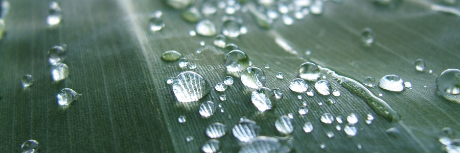 The system behind watering your plants