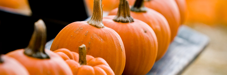 Grow it yourself: Pumpkin