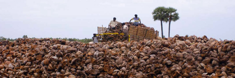 What does 'quality coco medium' really mean?