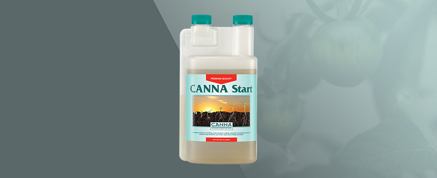 (HK) CANNA Start