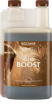 BioBOOST